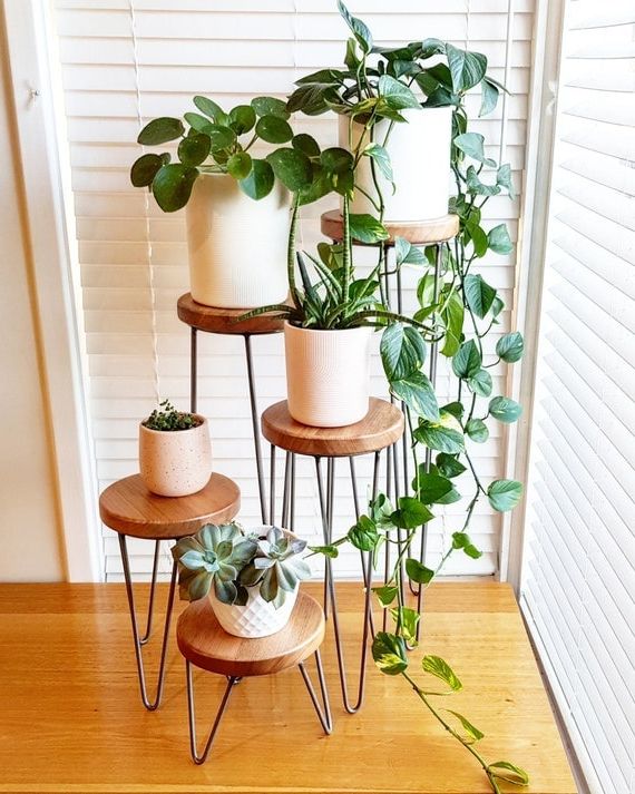 Favorite Plant Stands With Side Table Within Harper Hairpin Leg Plant Stand Metal Plant Stand Plant – Etsy Singapore (View 2 of 15)