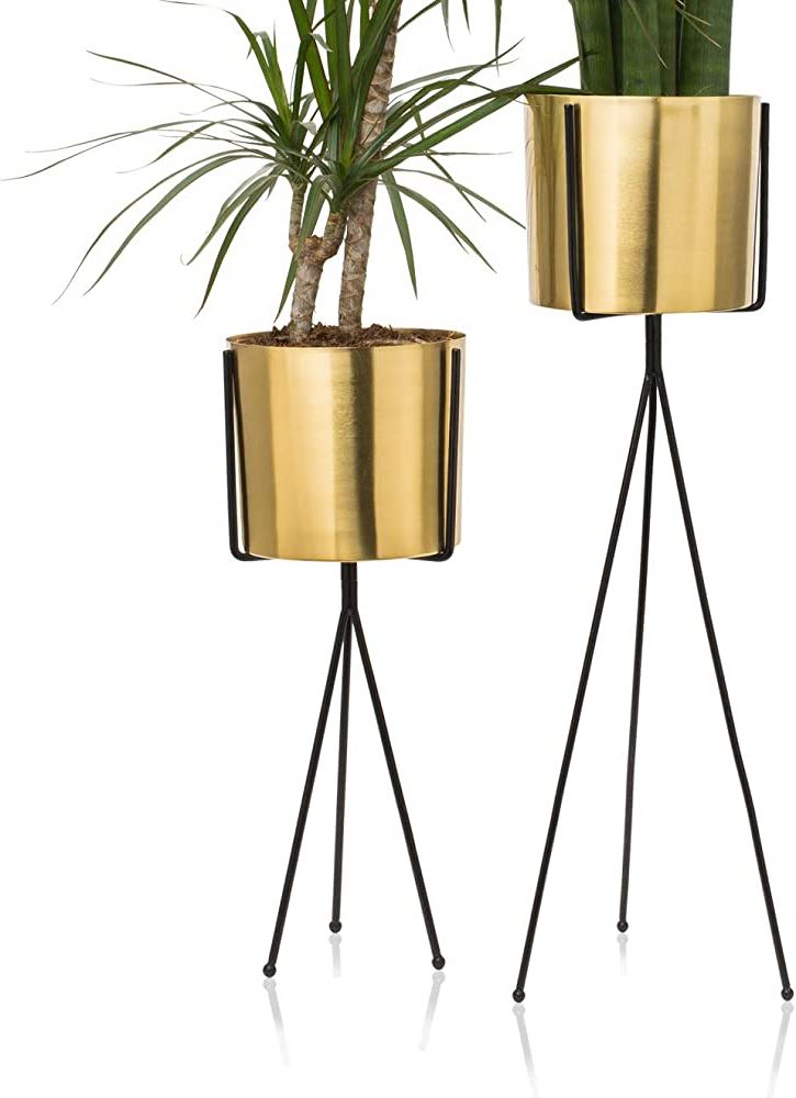 Favorite Set Of 2 Modern Brass Gold Planter With Metal Plant Stand, 7 Inch Large Flower  Pot With Black Mid Century Stands, Modern Decor For Orchid, Aloe, Snake  Plant, 18 And 24 Inch Tall, Indoor Decoration With Regard To 24 Inch Plant Stands (View 11 of 15)