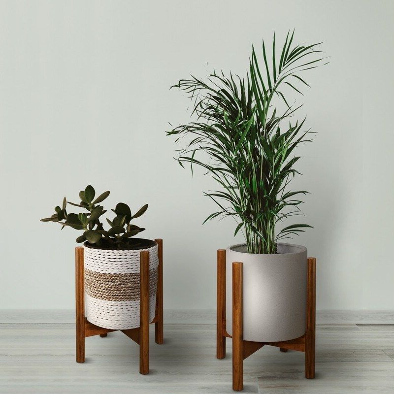 Favorite Wood Plant Stands – Ideas On Foter Inside Wooden Plant Stands (View 11 of 15)