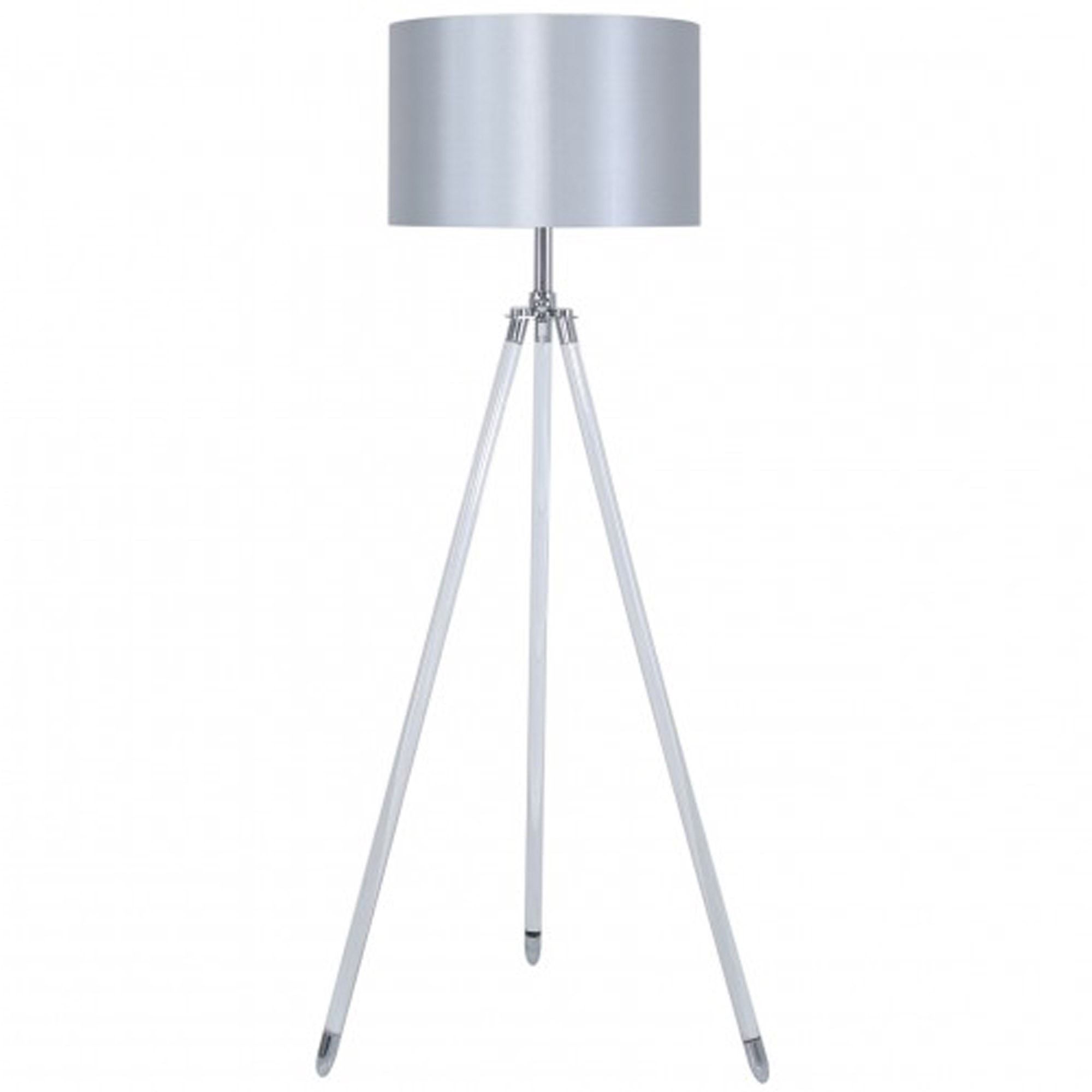 Floor Standing Lamps Throughout Fashionable Acrylic Standing Lamps (View 11 of 15)