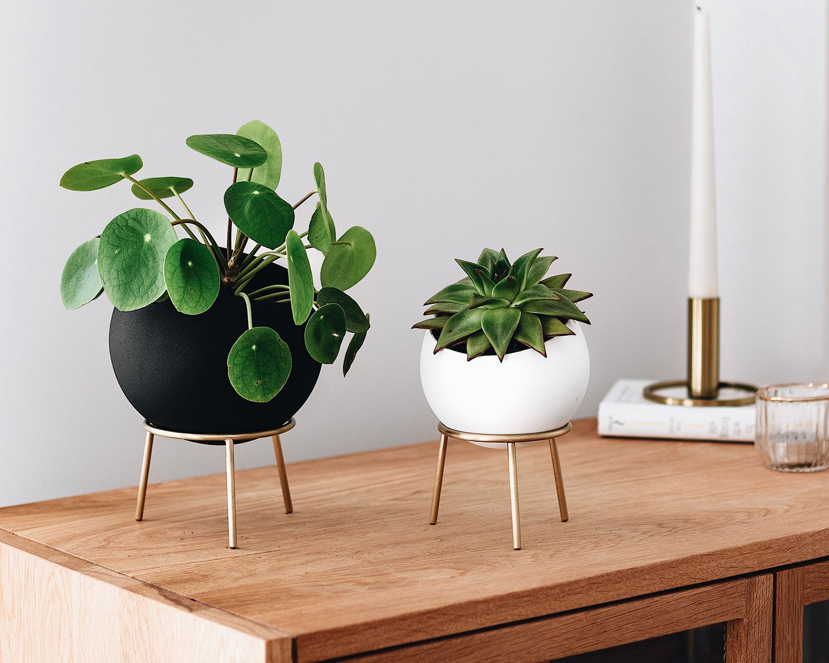 Globe Sphere Table And Floor Planters With Brass Stand – Etsy In Recent Globe Plant Stands (View 4 of 15)
