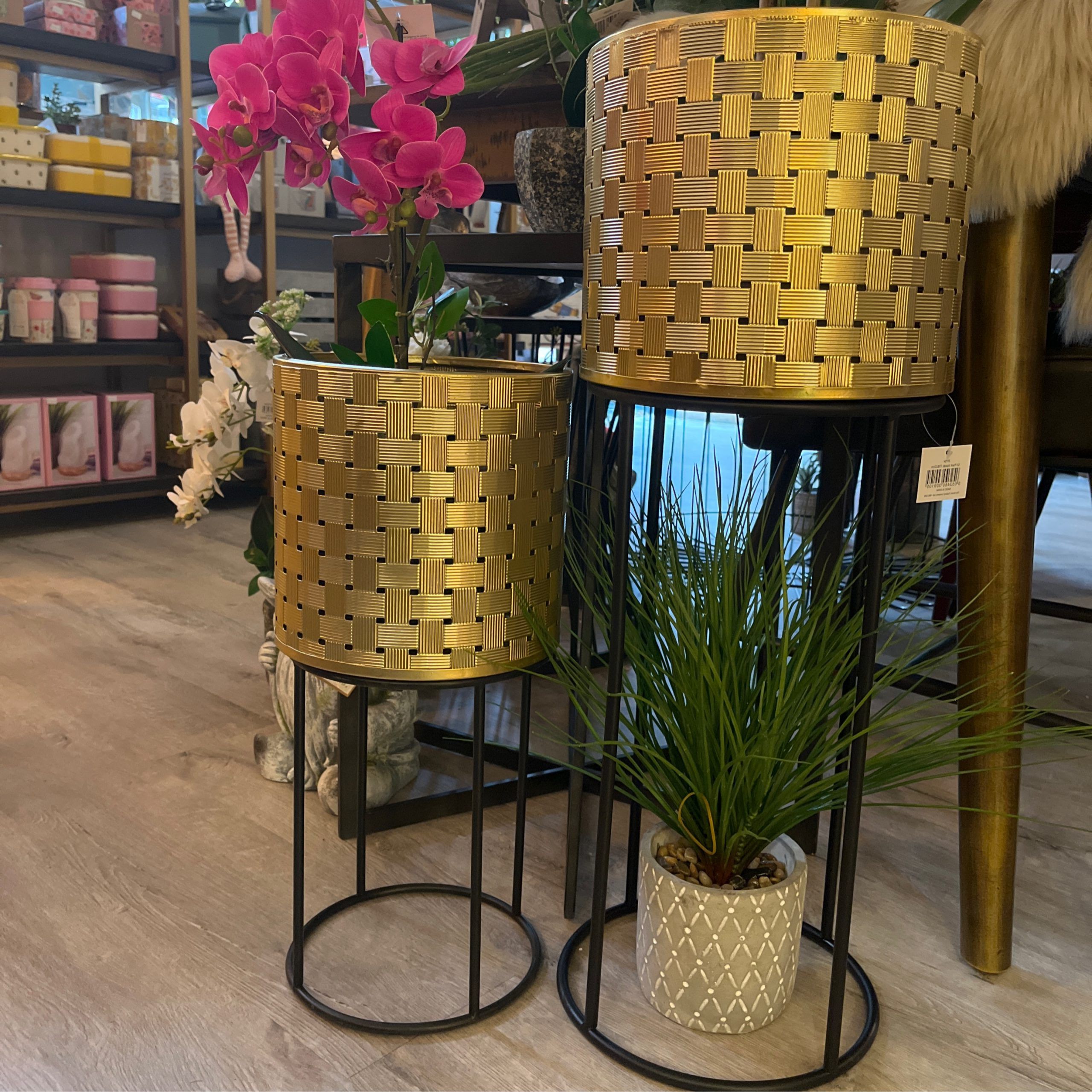 Gold Plant Stands Throughout Most Recent Gold Plant Stands Set Of Two 72cm & 52cm (View 10 of 15)