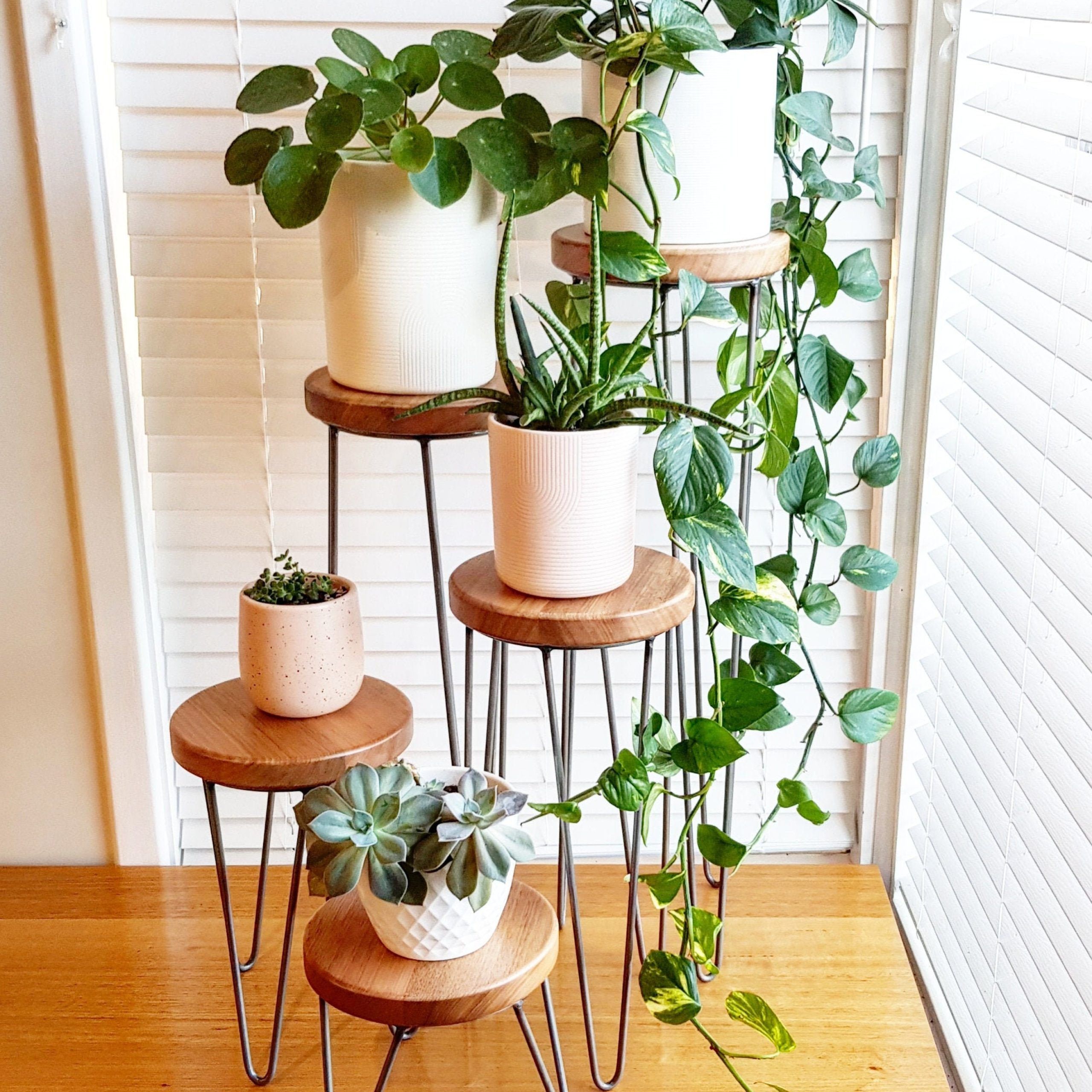 Harper Hairpin Leg Plant Stand Metal Plant Stand Plant – Etsy Canada In Well Liked Plant Stands With Table (View 10 of 15)