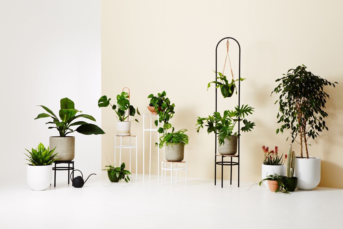 Ivory Plant Stands For Preferred 3d Printed Vases + Concrete Plant Stands: Ivy Muse's New Range – The  Interiors Addict (View 9 of 15)