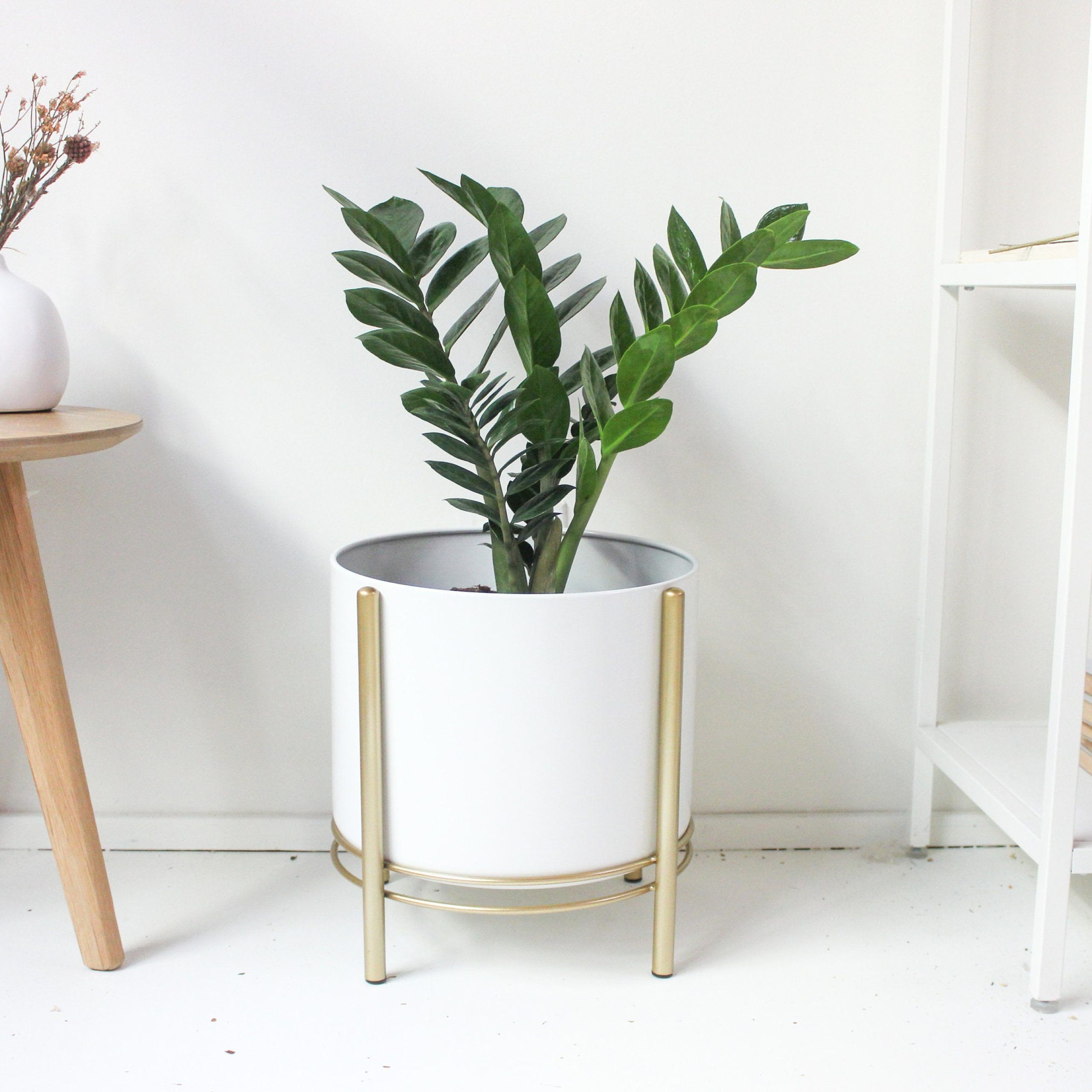 Large White Standing Planter Pot With Modern Gold Plant Stand – Etsy Italia With Regard To Most Up To Date Gold Plant Stands (View 2 of 15)
