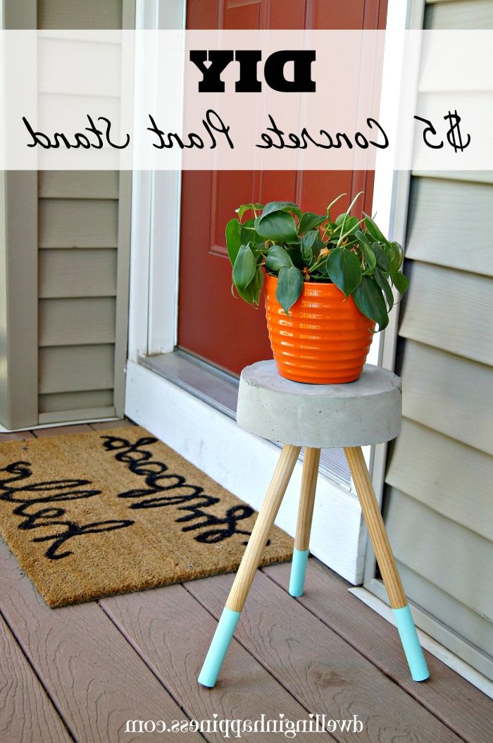 Latest $5 Diy Concrete Plant Stand – Dwelling In Happiness For Cement Plant Stands (View 1 of 15)
