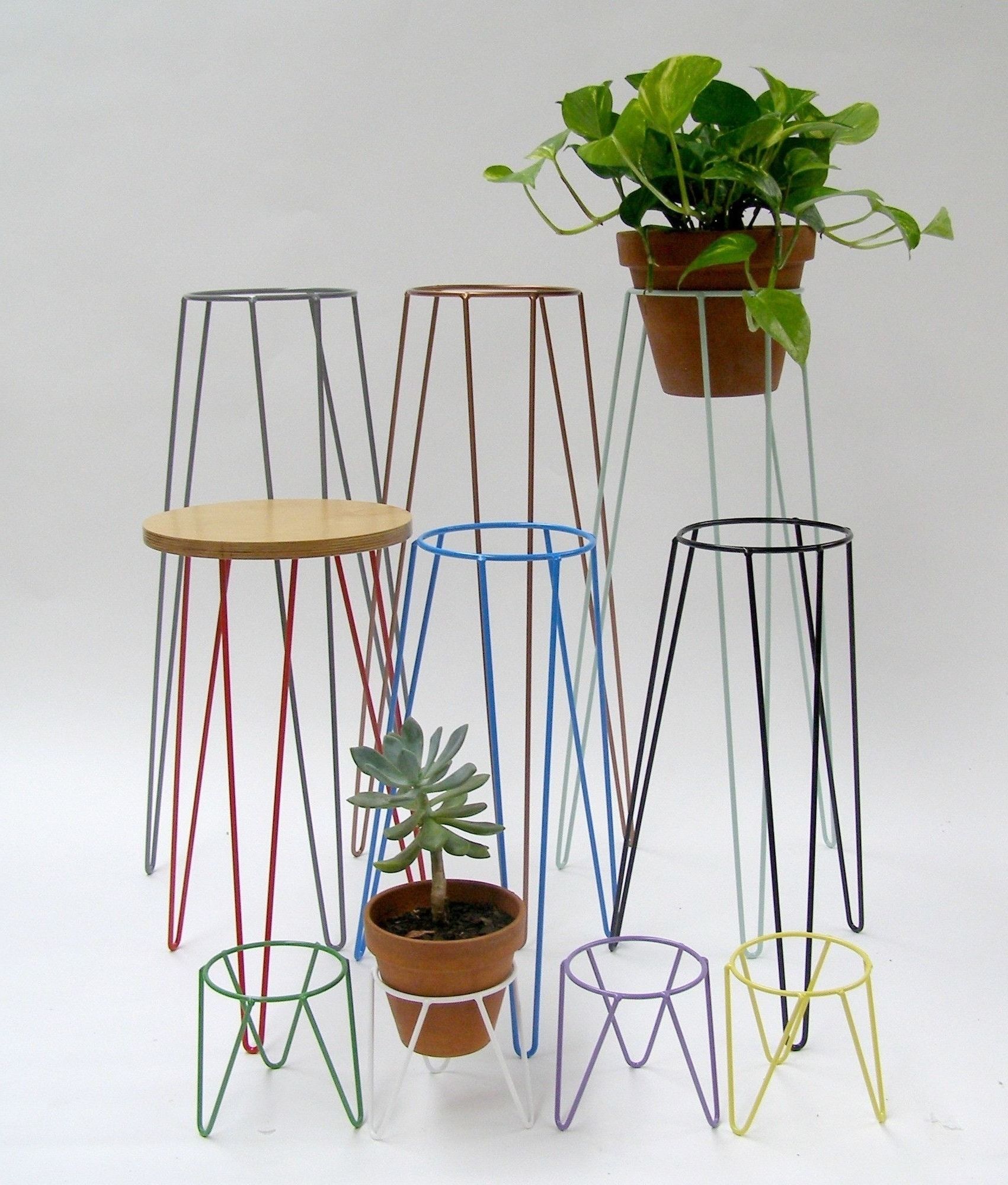 Metal Plant Stand – Ideas On Foter With 2020 Metal Plant Stands (View 14 of 15)