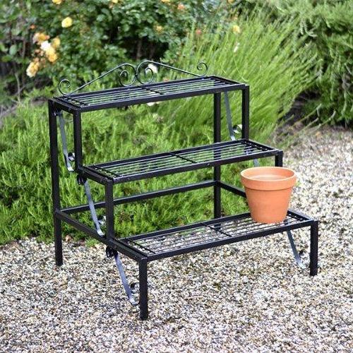Metal Plant  Stand Price In Delhi Pertaining To Preferred Iron Plant Stands (View 8 of 15)