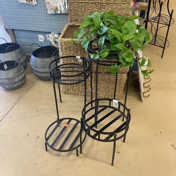 Metal Plant Stands In 2019 Modern Metal Plant Stand – Various Sizes › Anything Grows (View 15 of 15)