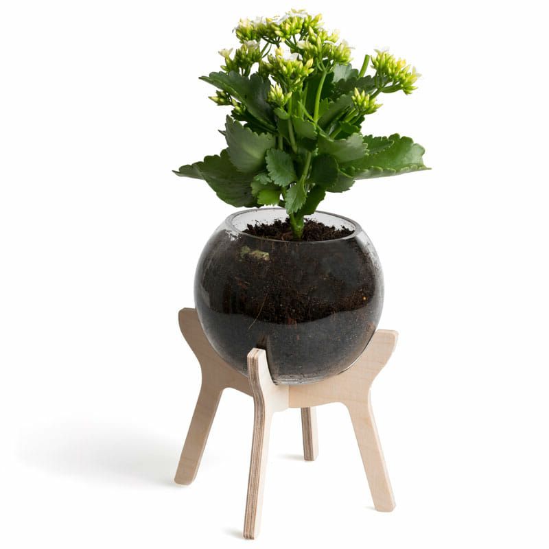 Most Current Plant Stands With Flower Bowl In South African Poitjie Pot Plant Stand • That Little Shop (View 10 of 15)