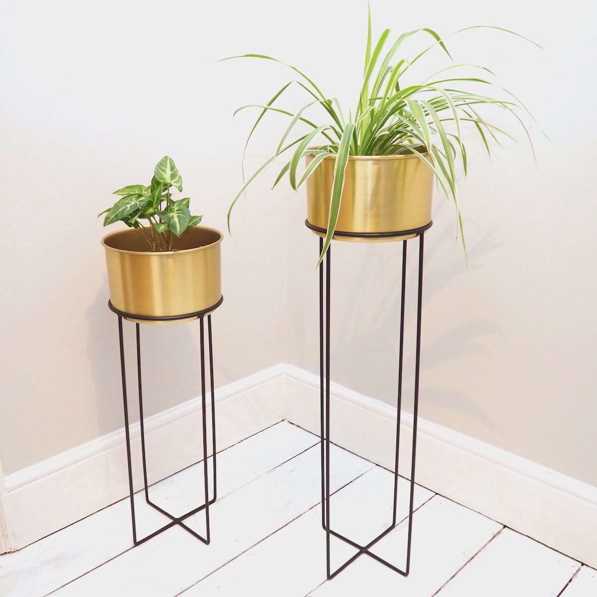 Most Popular Indoor Gold Plant Stand – Two Sizes – Zaza Homes Pertaining To Gold Plant Stands (View 8 of 15)