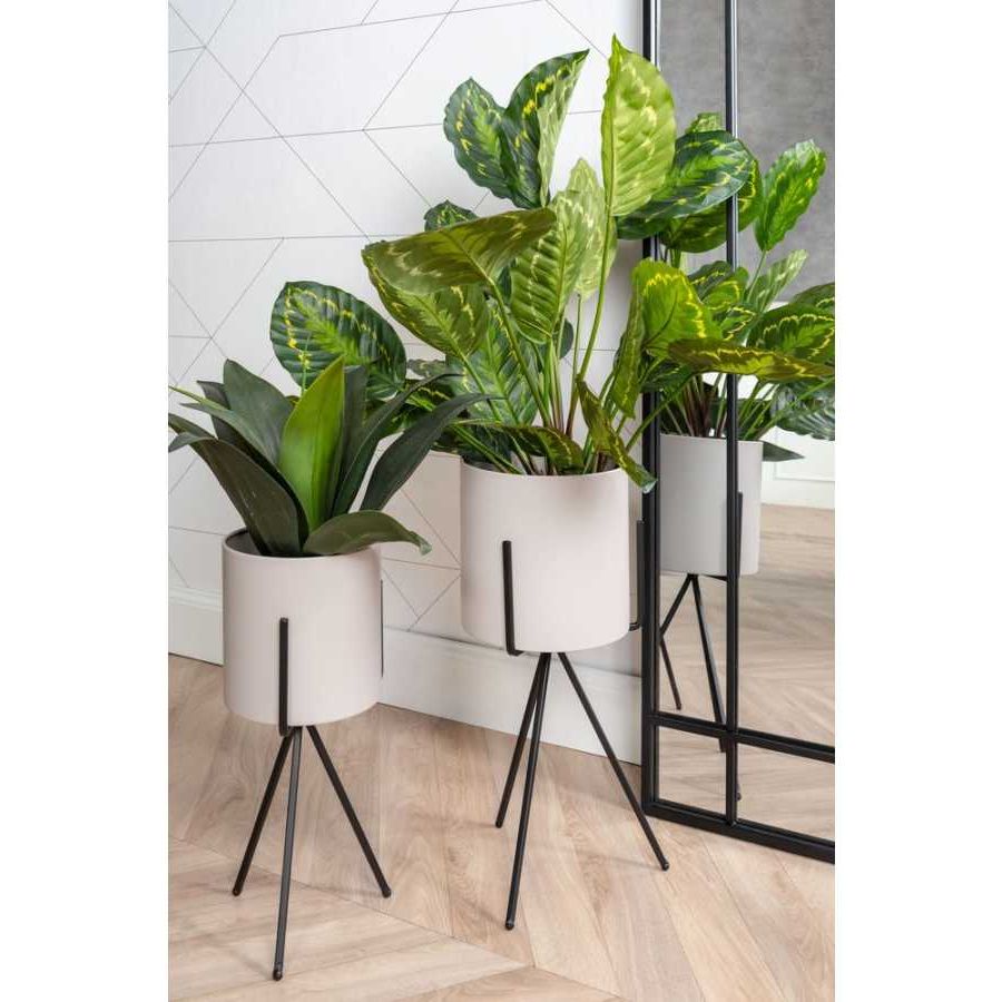 Most Popular Present Time Pedestal Plant Stands – Set Of 2 – Warm Grey For Set Of 3 Plant Stands (View 15 of 15)