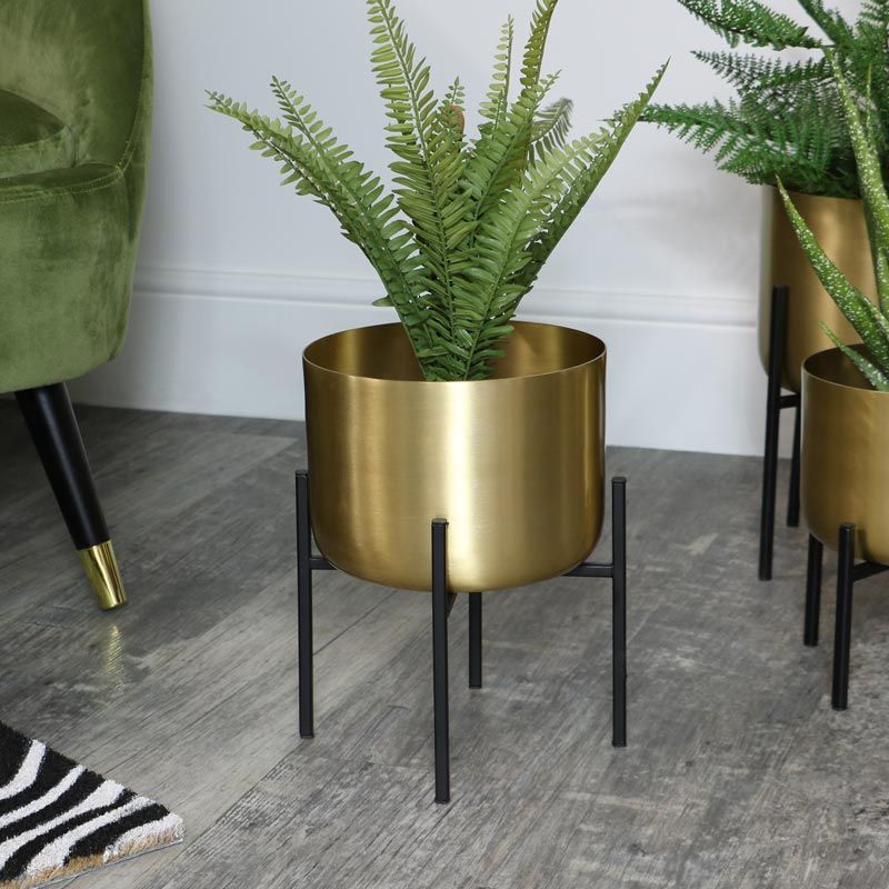 Most Popular Round Gold Plant Stand – Medium For Gold Plant Stands (View 4 of 15)