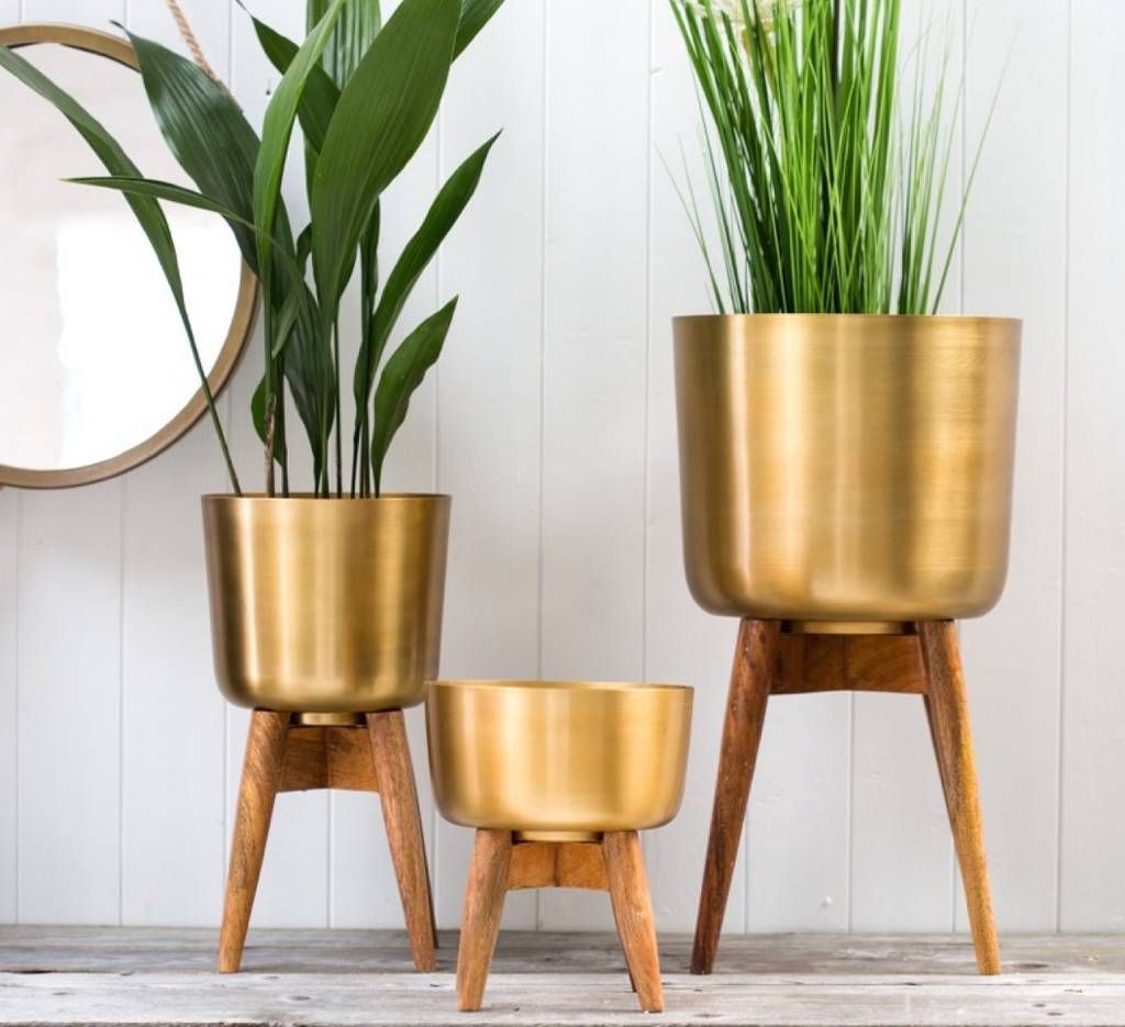 Most Recent Brass Plant Stands With Brass Plant Pot On A Wooden Standthe Forest & Co (View 15 of 15)