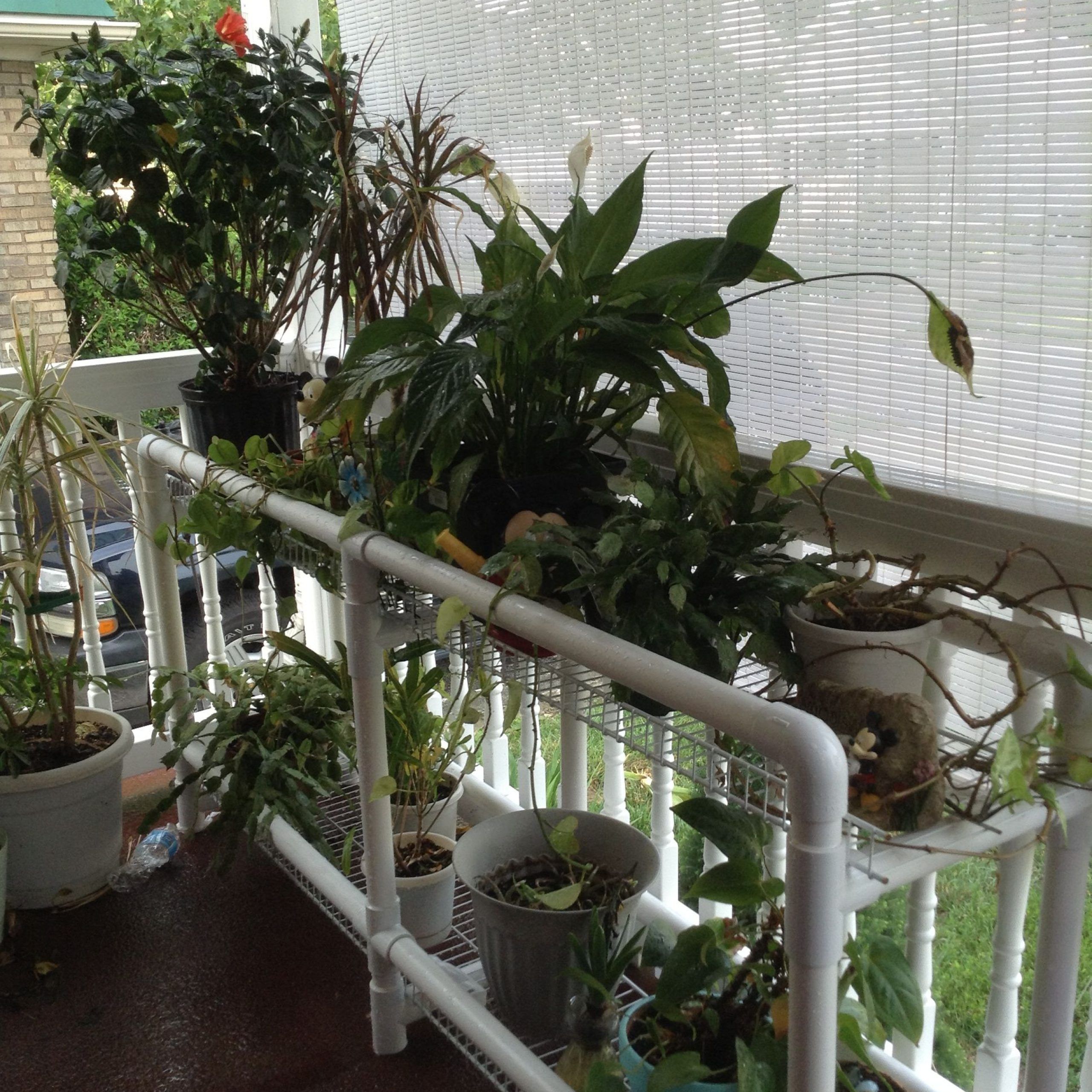Most Recent Pvc Plant Stands With Pvc Plant Stand (View 1 of 15)