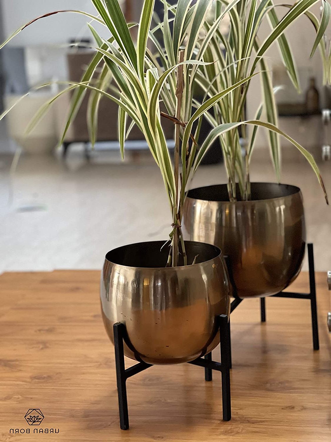 Most Recently Released 5 Inch Plant Stands With Urban Born Iron Planter With Plant Stand And Flower Pot, Gold, 15x11x (View 13 of 15)