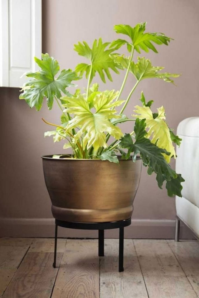 Newest Brass Effect Planter With Stand (View 9 of 15)