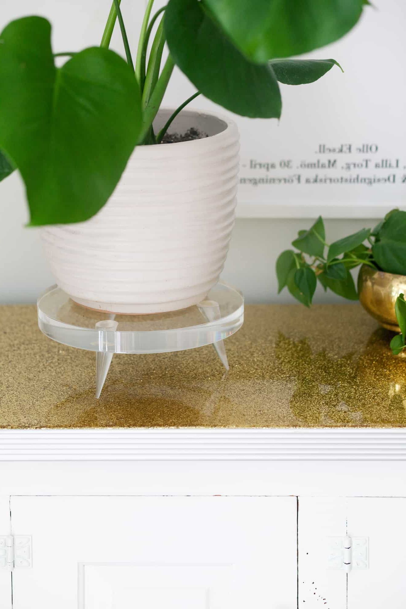 Popular Clear Plant Stands Pertaining To Diy Lucite Plant Stand – A Beautiful Mess (View 12 of 15)