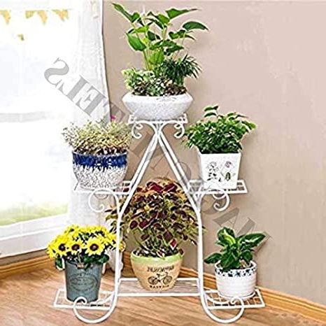 Powdercoat Plant Stands Intended For Newest Magic Matels Wrought Iron And Gl Metal Powder Coated Pot Stand, White, L  74cm W 23cm H 76cm : Amazon (View 2 of 15)