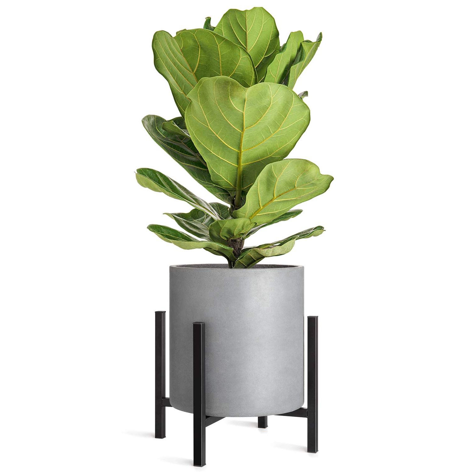 Recent 14 Inch Plant Stands Intended For Mkono Plant Stand – Excluding Plant Pot, Mid Century Modern Tall Metal Pot  Stand Indoor Flower Potted (View 1 of 15)