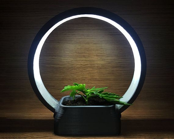 Ring Plant Stands Throughout Well Known Ring Light Stand Indoor Plant Stand 3d Printed Ring Desk – Etsy (View 9 of 15)