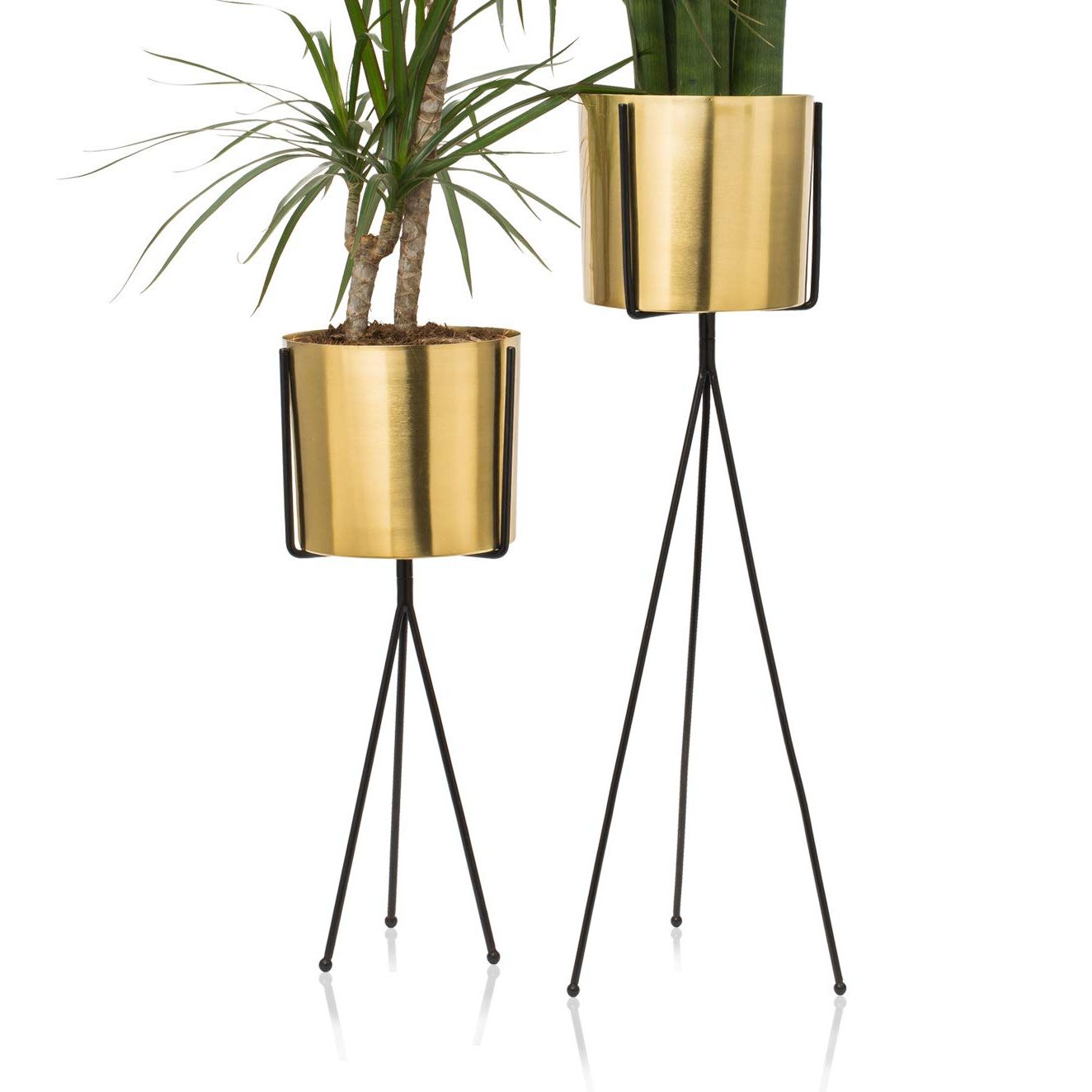 Set Of 2 Modern Brass Gold Planter With Metal Plant Stand, 7 Inch Large  Flower Pot With Black Mid Century Stands, Modern Decor For Orchid, Aloe,  Snake Plant, 18 And 24 Inch Tall, Indoor Decoration Regarding Fashionable Brass Plant Stands (View 14 of 15)