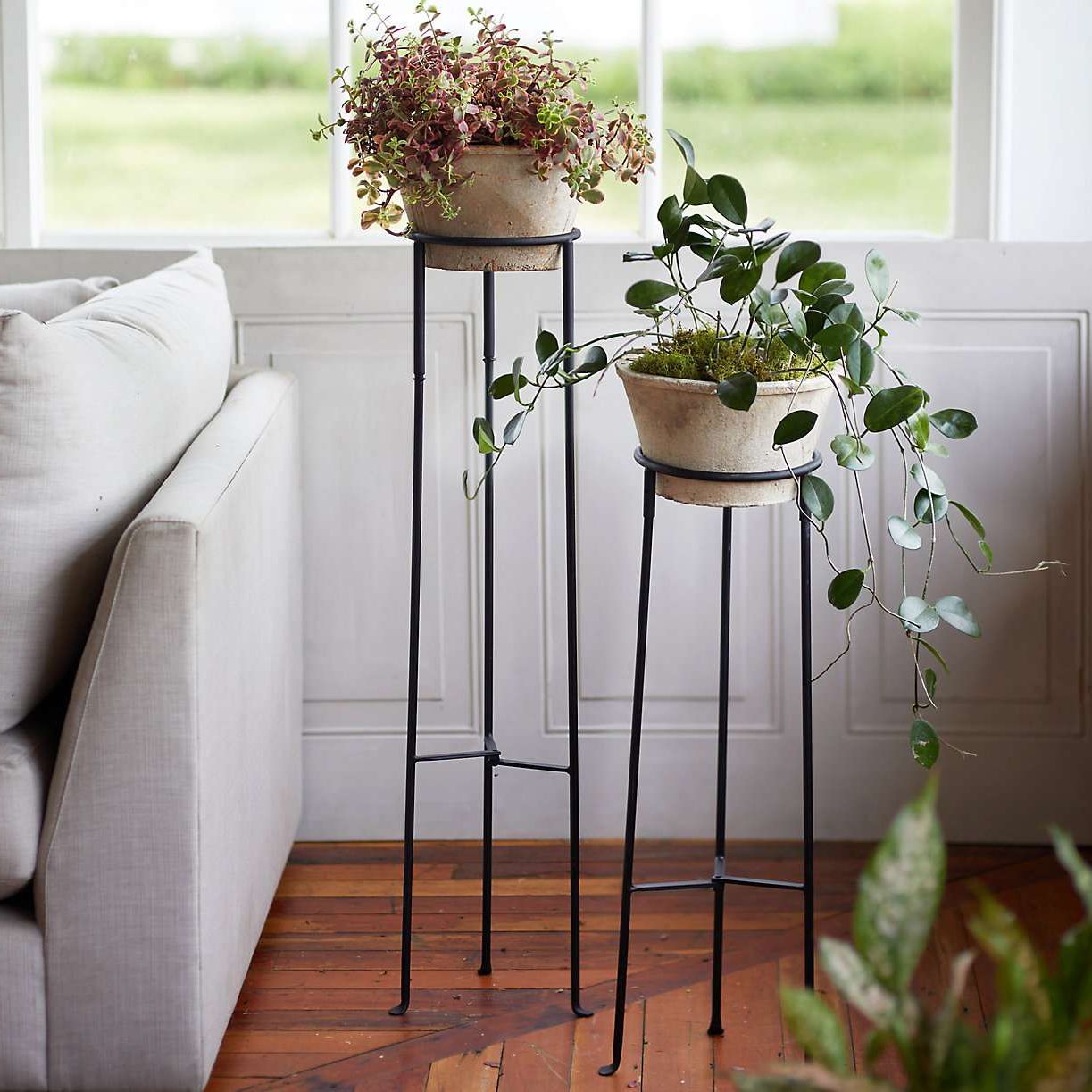 The 8 Best Plant Stands For Every Style Regarding Most Recently Released Tall Plant Stands (View 9 of 15)