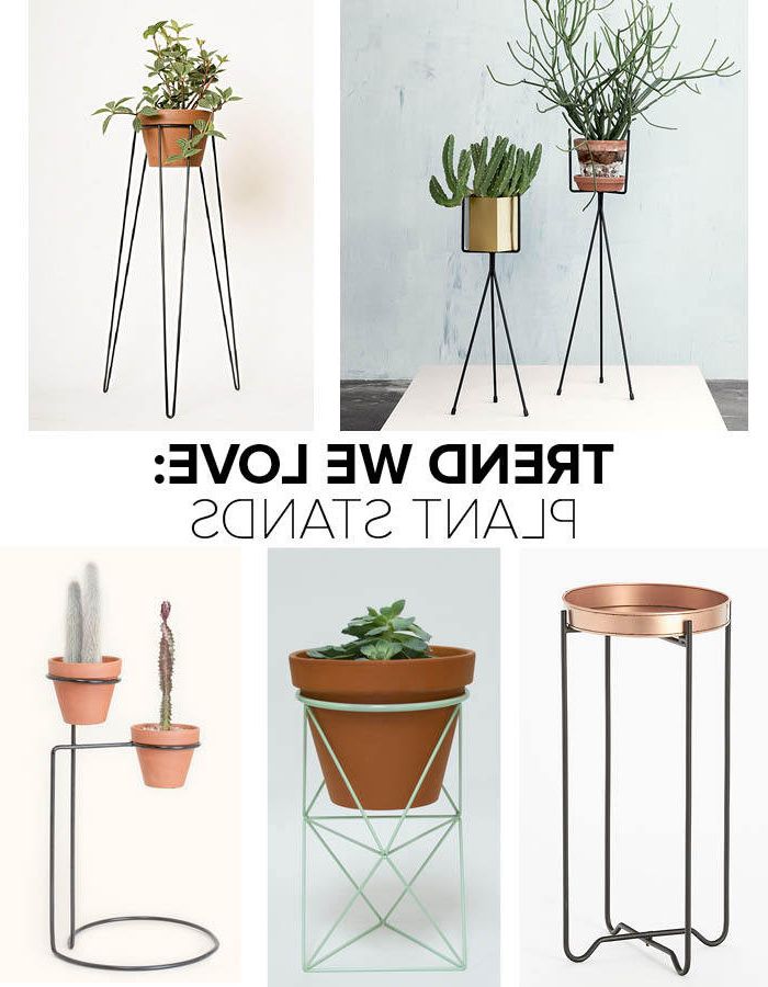 Trend We Love: Plant Stands – Trends We Love – Lonny With Trendy Ring Plant Stands (View 5 of 15)