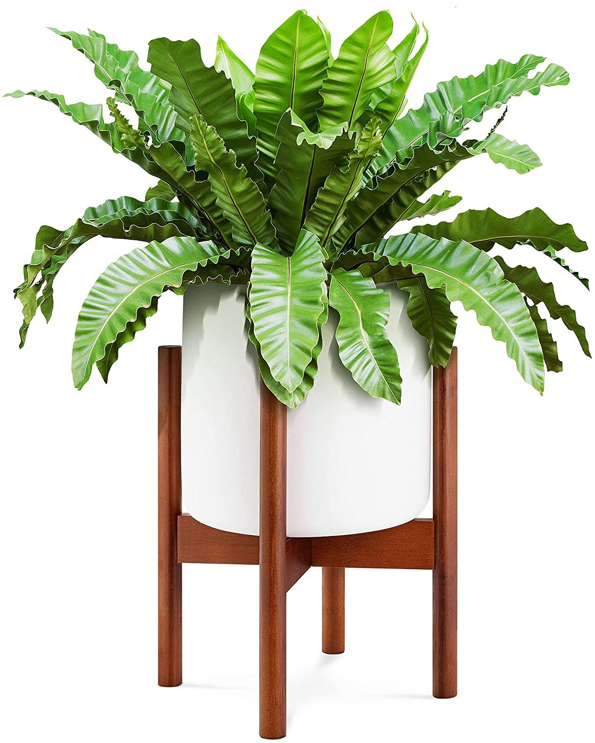 Trendy 14" Mid Century Modern Large Planter With Stand, Elevated Plant Stand With  Pot Included, 10 Inch White Plant Pot, 14 Inch Tall Bamboo Plant Holder For  Indoor Snake Plants Flowers, Wood & In 14 Inch Plant Stands (View 13 of 15)