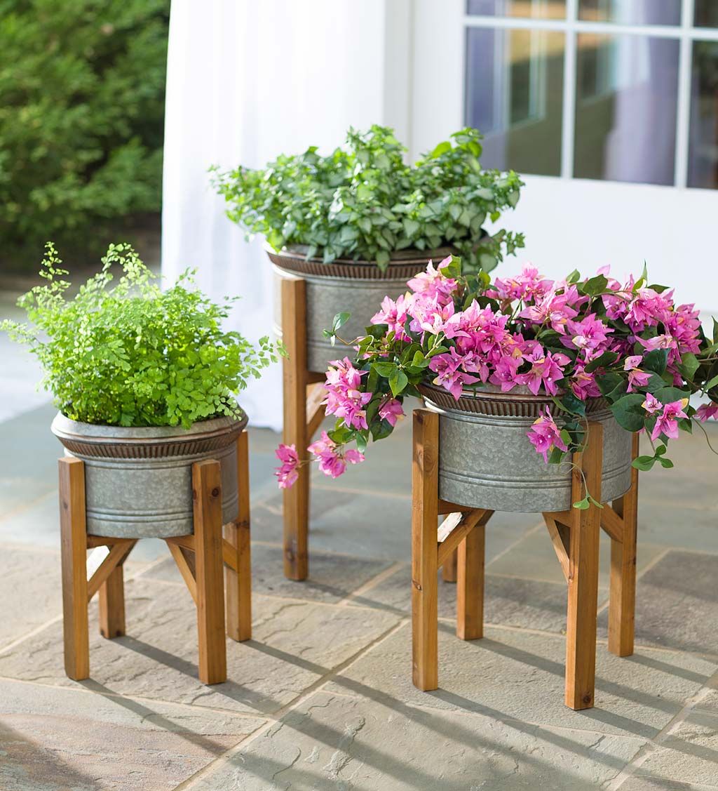 Trendy Galvanized Plant Stands Inside Galvanized Planters With Wooden Stands, Set Of  (View 8 of 15)