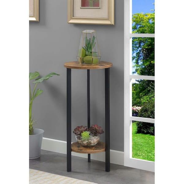 Trendy Particle Board Plant Stands With Convenience Concepts Graystone 31.5 In (View 5 of 15)