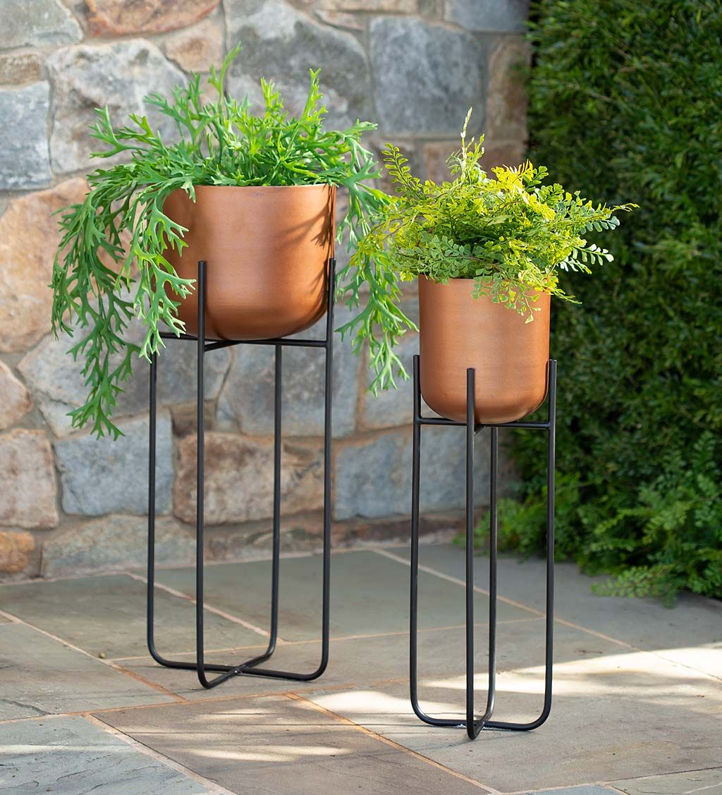 Vivaterra Pertaining To Well Liked Copper Plant Stands (View 7 of 15)