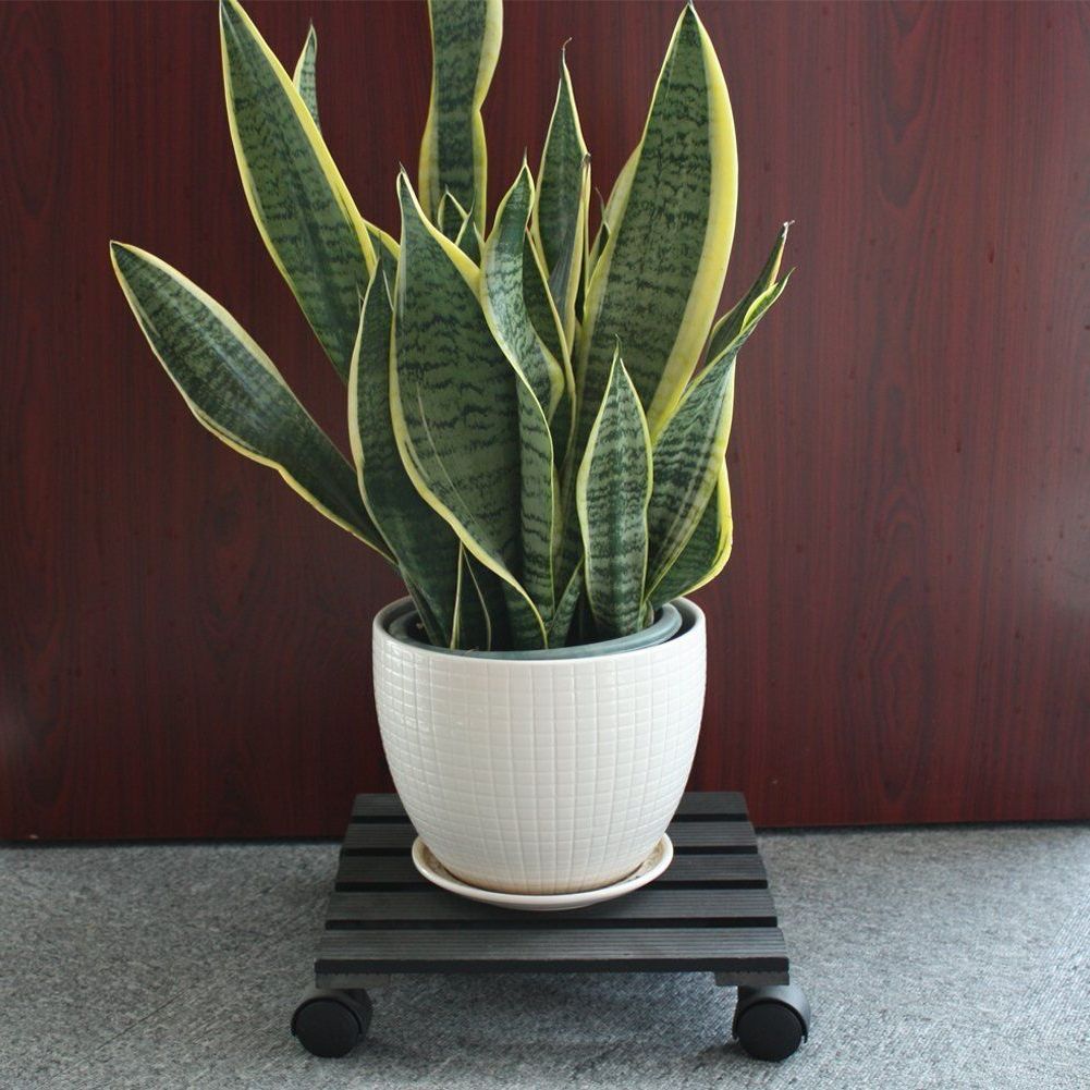 Well Known Black 14 Inch Plant Caddy Heavy Duty Plant Stand With 5 Wheels Holds Up 150  Lbs (View 15 of 15)
