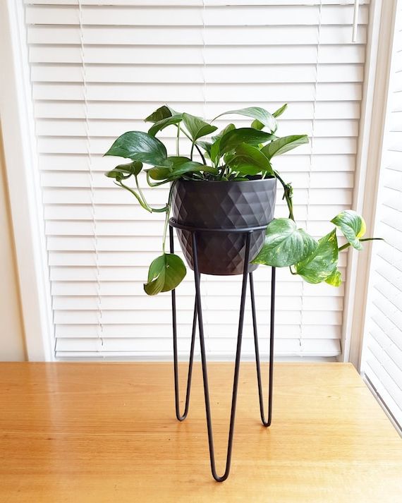 Well Known Milla Hairpin Leg Plant Stand Hoop Plant Stand Metal Plant – Etsy Uk Within Plant Stands With Flower Bowl (View 13 of 15)