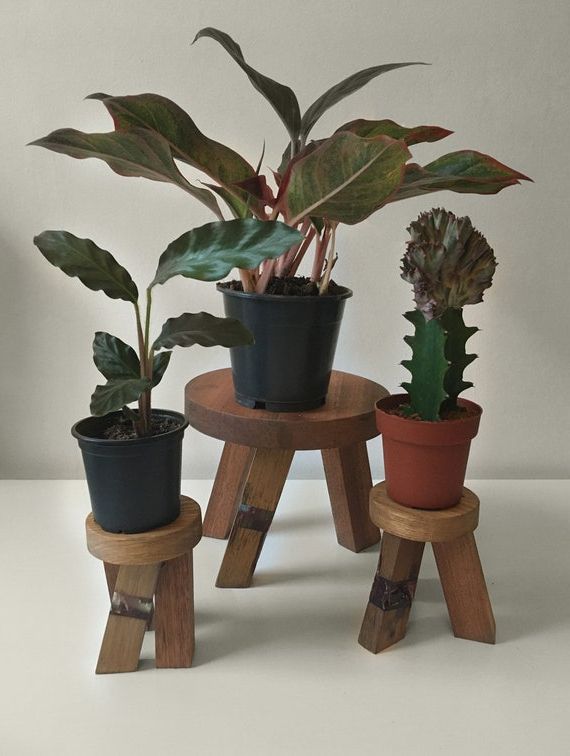 Well Known Plant Stand With Epoxy Resin Detail Large Size – Etsy Inside Resin Plant Stands (View 8 of 15)