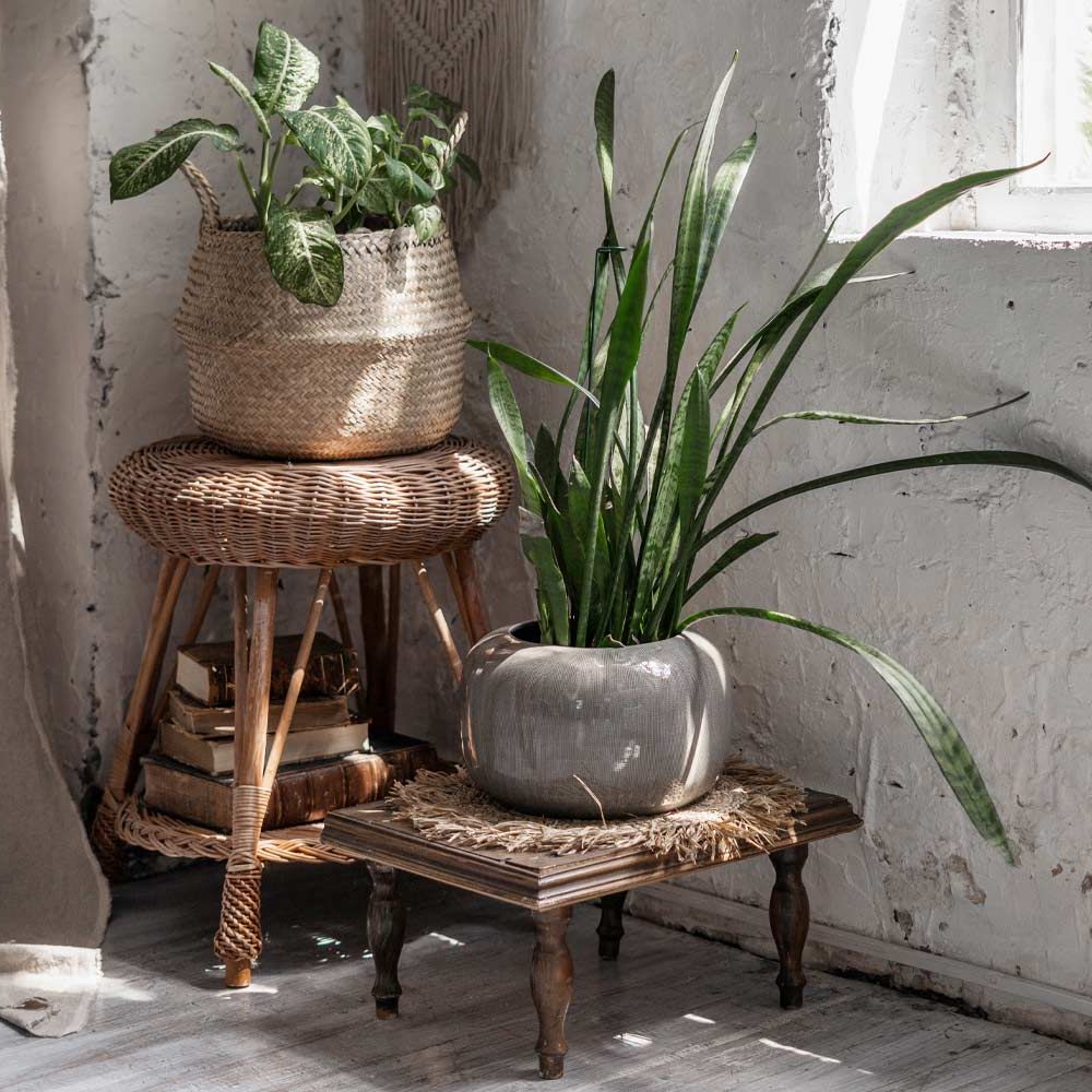 Well Known Rustic Plant Stands With 31 Exclusive Plant Stand Ideas To Introduce Into Your Interior (View 11 of 15)