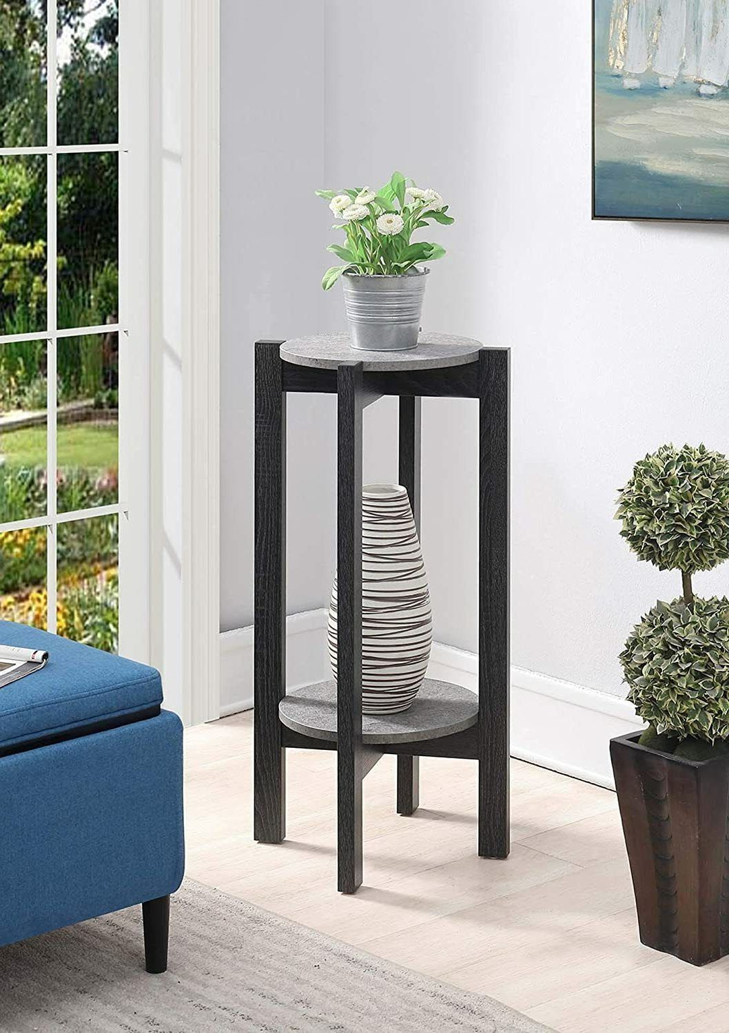Well Liked Convenience Concepts Newport Deluxe Plant Stand (View 4 of 15)