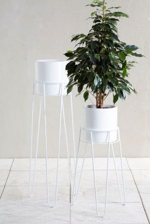 White Plants, Plant Stand,  Garden Furniture Sets (View 3 of 15)