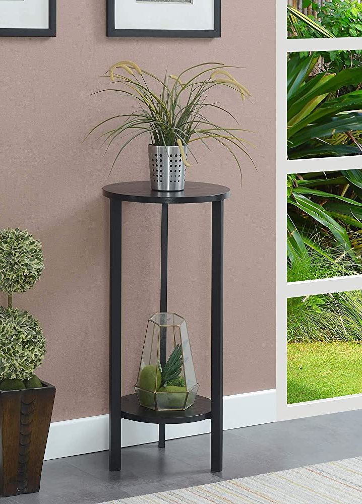 Widely Used Greystone Plant Stands Intended For Convenience Concepts Graystone 2 Tier Plant Stand, 31", Black/black (View 1 of 15)