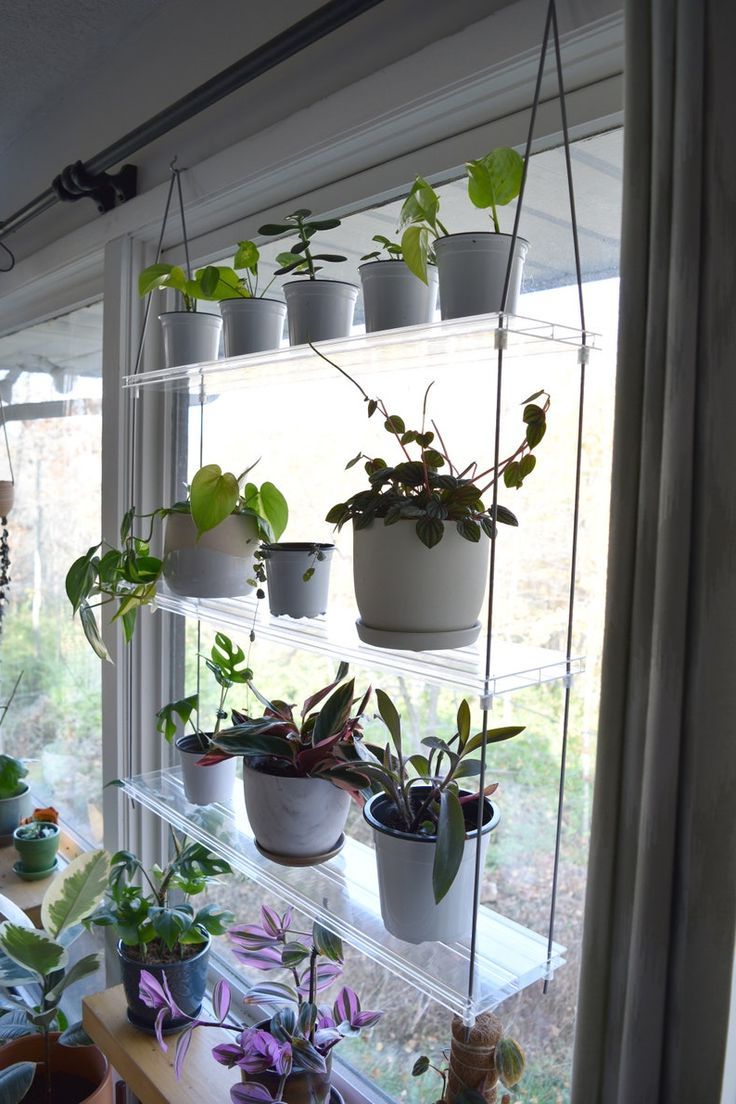 Window  Plant Shelf, Window Plants, Plant Shelves (View 14 of 15)