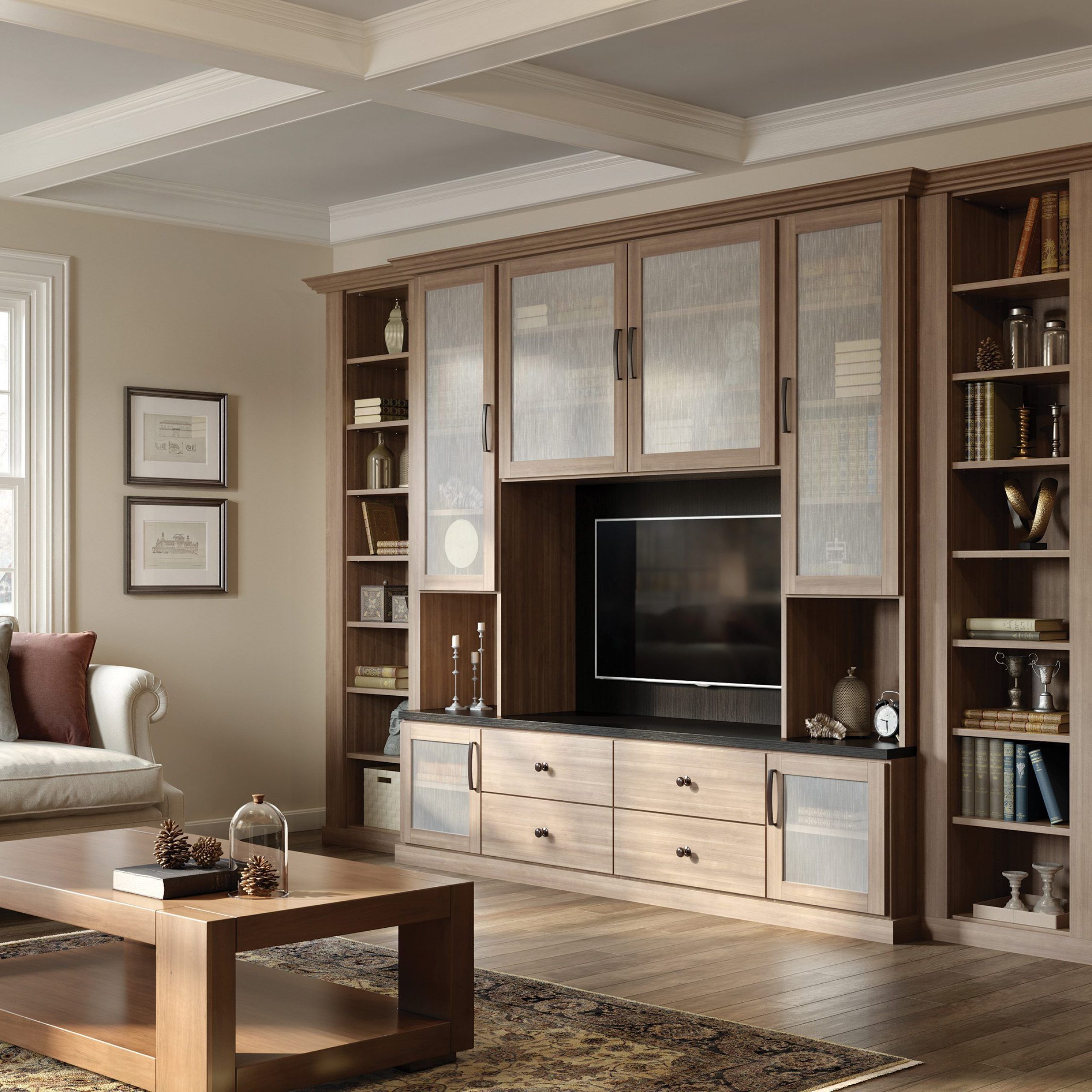 Family Room Cabinets & Storage Solutions (Photo 11 of 15)