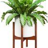 10 Inch Plant Stands (Photo 4 of 15)