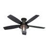 Hunter Indoor Outdoor Ceiling Fans With Lights (Photo 7 of 15)