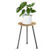 15.5-Inch Plant Stands (Photo 7 of 15)