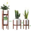 Two-Tier Plant Stands (Photo 5 of 15)