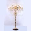 Crystal Chandelier Standing Lamps (Photo 8 of 15)
