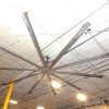 Large Outdoor Ceiling Fans With Lights (Photo 13 of 15)