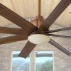 Outdoor Ceiling Fans With Lights Damp Rated (Photo 12 of 15)