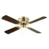 Outdoor Ceiling Fan With Brake (Photo 8 of 15)