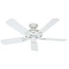 Hunter Outdoor Ceiling Fans With White Lights (Photo 5 of 15)